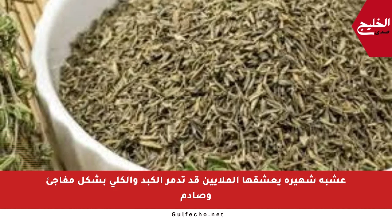 عشبة شهيرة يعشقها الملايين قد تدمر الكبد والكلى بشكل مفاجئ وصادم